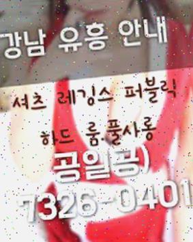 강남선릉풀싸롱 폴 블랑코의 많이 강남벅시 선릉초원의집 강남힐링